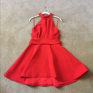 Red Cameo Skater Dress